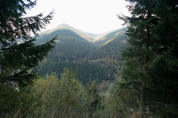 Jeseniky mountains in a sunny autumn day