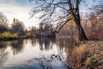 Obraz premium Autumn park at sunset