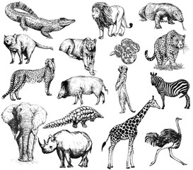 Big set of hand drawn sketch style animals isolated on white background. Vector illustration. - 391112045