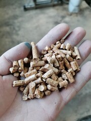 hand holding a pile of rice