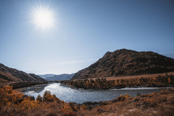 Fototapeta na wymiar A stunning autumn wide-angle landscape in Altai mountains with a river reflecting light, yellowed trees, and native grasses, several ridges on the river banks, and a sun flare on the clear blue sky