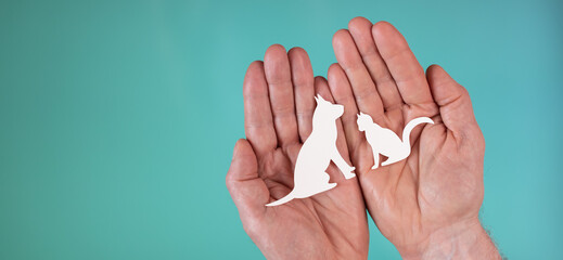 Concept of pet insurance