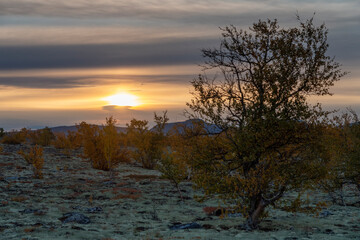 Fototapeta premium Autumn in Dørålen, Rondane, Norway