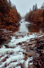 Autumn landscape with a mountain river in the Carpathians