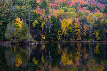 Fall color reflection on black water