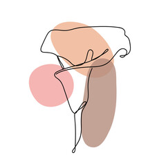 Flower in a linear style on white background.