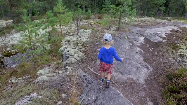 A small child with curly white hair walking in a forest in the Southern Finland, in the summer, on the end of July, with lots of pines, spruces, bracken and moss.