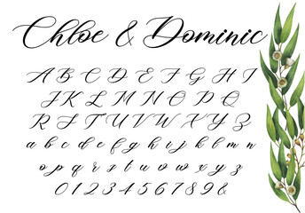 Brush Cursive Script Alphabet Font