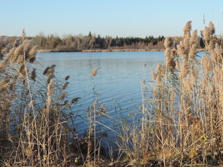 novembre au lac boivin