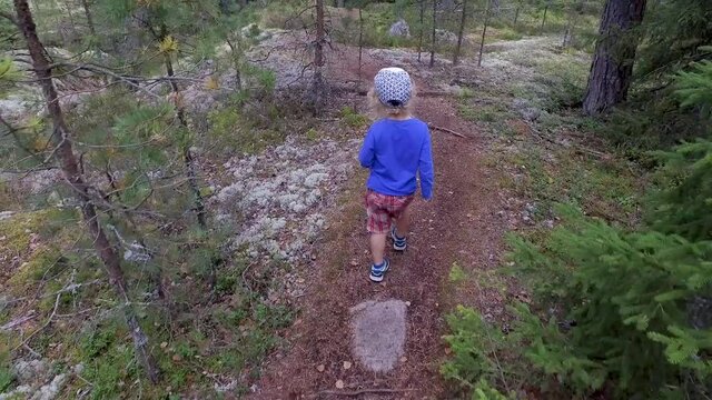 A small child with curly white hair walking in a forest in the Southern Finland, in the summer, on the end of July, with lots of pines, spruces, bracken and moss.