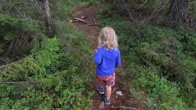 A small child with curly white hair walking in a forest in the Southern Finland, in the summer, on the end of July, with lots of pines, spruces, bracken and moss.