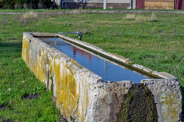 Artesian fountain