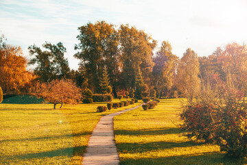 Photo of beautiful autumn landscape in park during sunset, vibrant image.