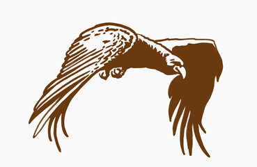 Vector eagle, sepia graphical illustration