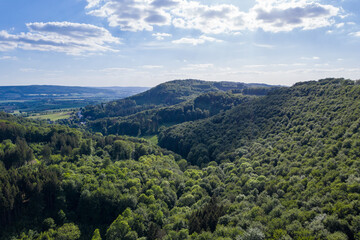 Panorama over a  green forest in Germany