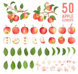 Watercolor elements of apple fruits, leaves and flowers for posters, wedding cards, summer boho banners - 391118288