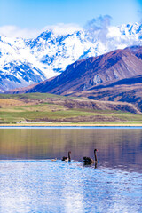 Snow covered mountains and green valleys with a lake in New Zealand