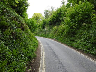 An asphalt road uphill covered with greenery on the sides with rocks
