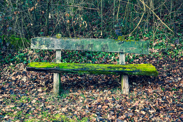 old wooden bench covered with moss