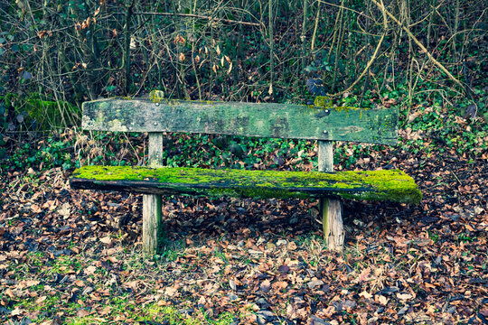 old wooden bench covered with moss
