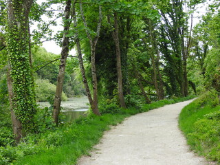 The promenade by the trees and the lake