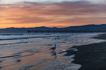 Naklejka premium Sunset at the coast with a pier in New Zealand