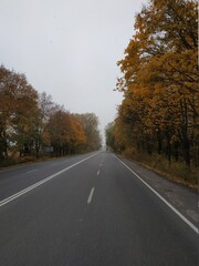 Fototapeta premium Natural September