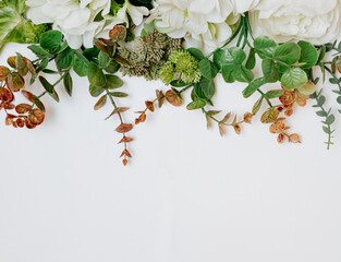 flowers and plants on a white background
