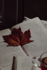 book and autumn leaves