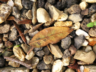 Background of small pebbles with a dried autumn leaf