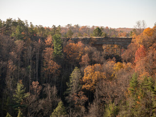 Fototapeta na wymiar Autumn at the Red River Gorge with the Natural Bridge