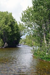 View of the Snake River in Grand Teton National Park in Wyoming, United States