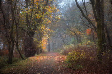 Autumn footpath in the park. Polkemmet Country Park, West Lothian, Scotland.