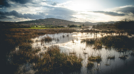 Obraz premium Flooded Lough Allua lake at sunset. southwest ireland. A lake lying on the river Lee which flows into Cork.