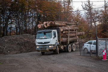 Obraz na płótnie Canvas Camion de carga transportando madera