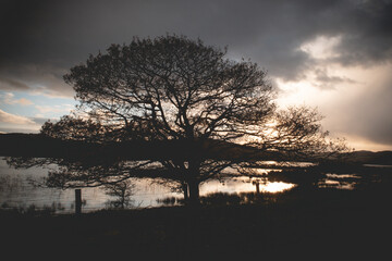 Flooded Lough Allua lake at sunset. southwest ireland. A lake lying on the river Lee which flows into Cork.	