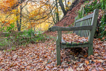 Autumn in Macclesfield Forest