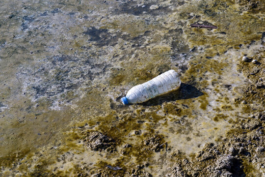 Plastic garbage in the lake , pollution and environment concept. A bottle by the lake,