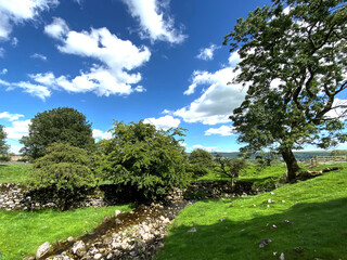 Rural scene, with a stream, old trees, and sloping fields, on a summers day in, Threshfield, Skipton, UK