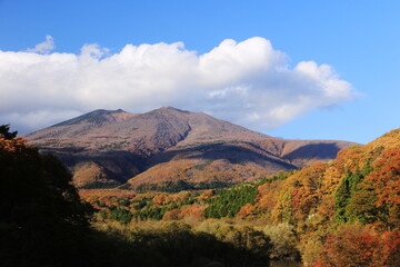 宮城県七ヶ宿町の秋　紅葉のやまびこつり橋から見た不忘山