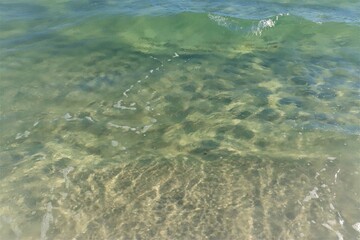 Small green waves near the shore of the ocean, the bottom is clearly visible through the clear water, close shooting