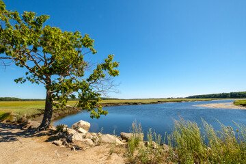 Noontime on the Eastern Trail