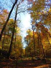 walking through shenandoah park at sunset