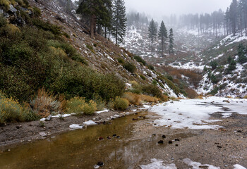 Fototapeta premium Fresh snow and water in the mountains