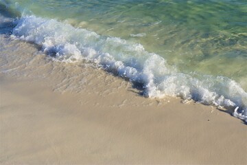 Waves from the ocean seethe and foam on the shore, forming white lambs and foam, close up