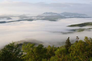Obraz premium 銀泉台の雲海（北海道・大雪山） 