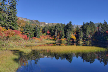 秋の大雪高原沼（北海道・大雪山）
