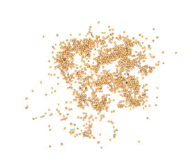 Dried coriander seeds Coriander seeds isolated on white background top view