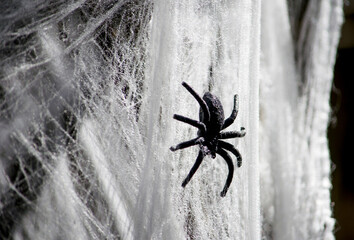  Realistic rubber Black spider in a  fake web, a fun decoration during Halloween 