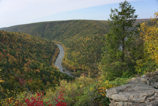 River in autumn